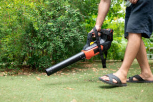 बेस्ट 7 Home Garden Vacuum Cleaner के साथ घर को रखें बिल्कुल साफ, यहां देखें लिस्ट और पूरे रिव्यू